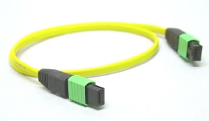 MPO to MPO patchcord